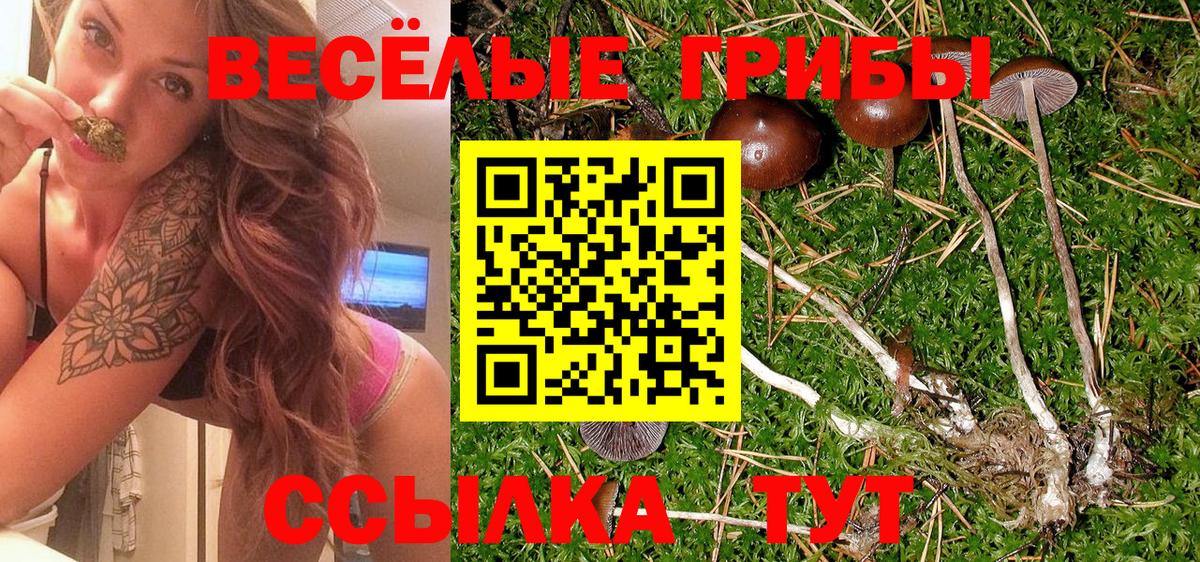 наркошоп  Вход с VPN  Волгоград  Псилоцибиновые грибы ЛСД 