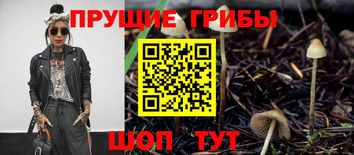Псилоцибиновые грибы Psilocybine cubensis Волгоград
